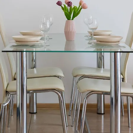 Stylish With A Balcony In Close To The Airport By Renters Apartment